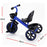 Deluxe Kids Tricycle Trike Bike Ride On with Basket & Trunk Royal Blue with Black