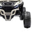 Deluxe Officially Licensed Kawasaki KRX 1000 Buggy 12V Off Road Kids Ride On Car with Remote Control KRX Nitro