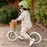 Zalane Cyrus 12" Inch Kids Balance Bike Soft Olive Green
